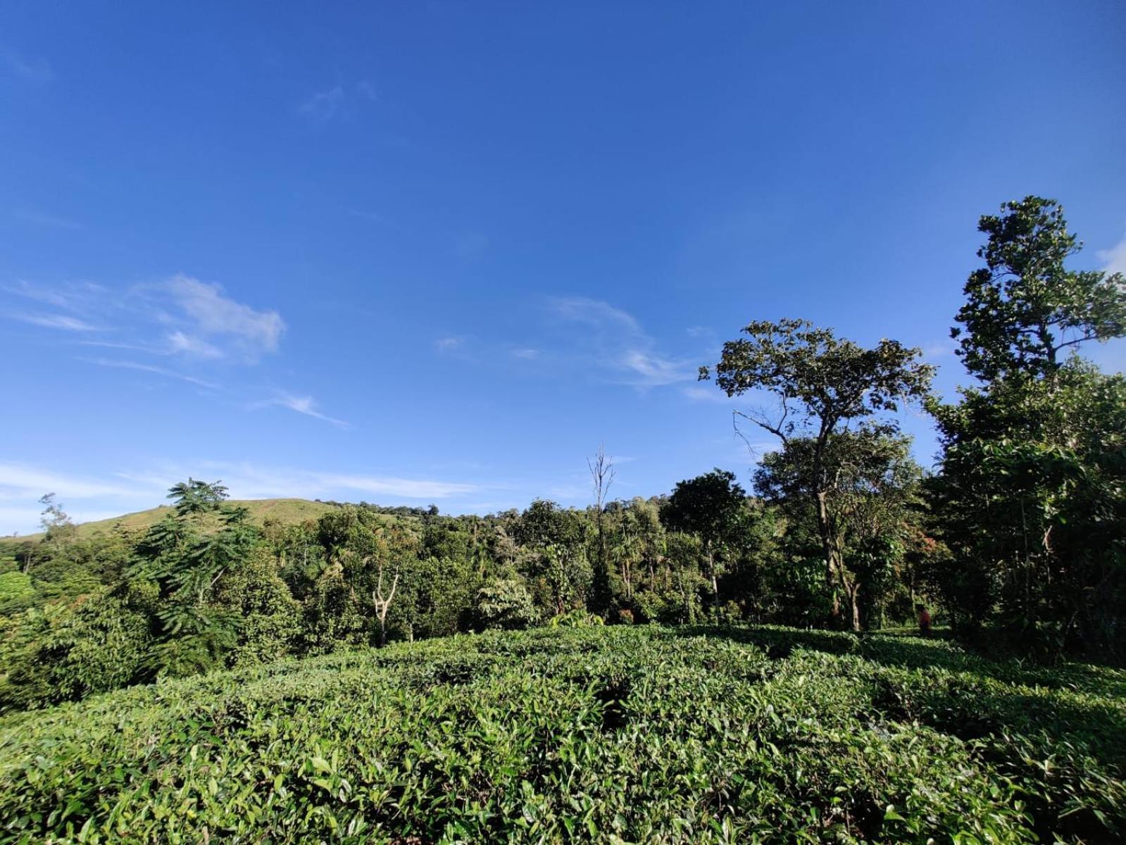 The Vagabond Stays Vagamon Bagian luar foto